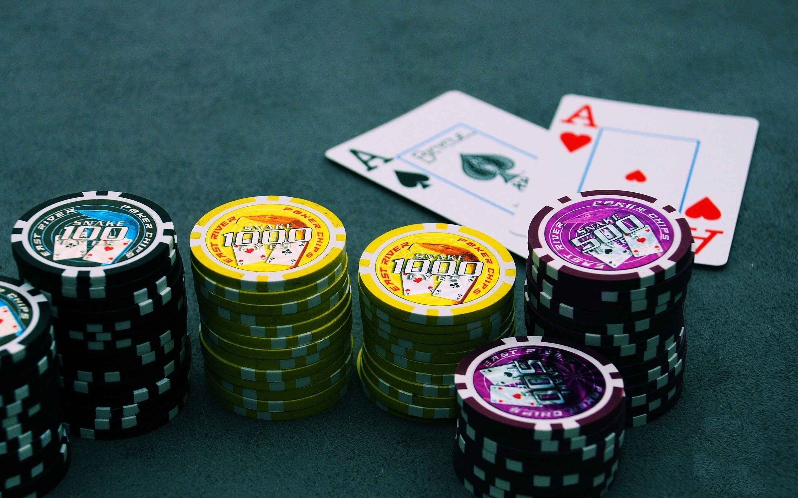 Macau303: A Deep Dive into its Online Betting Features